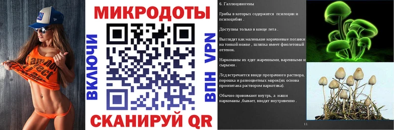 купить   Буинск  Псилоцибиновые грибы Psilocybe 